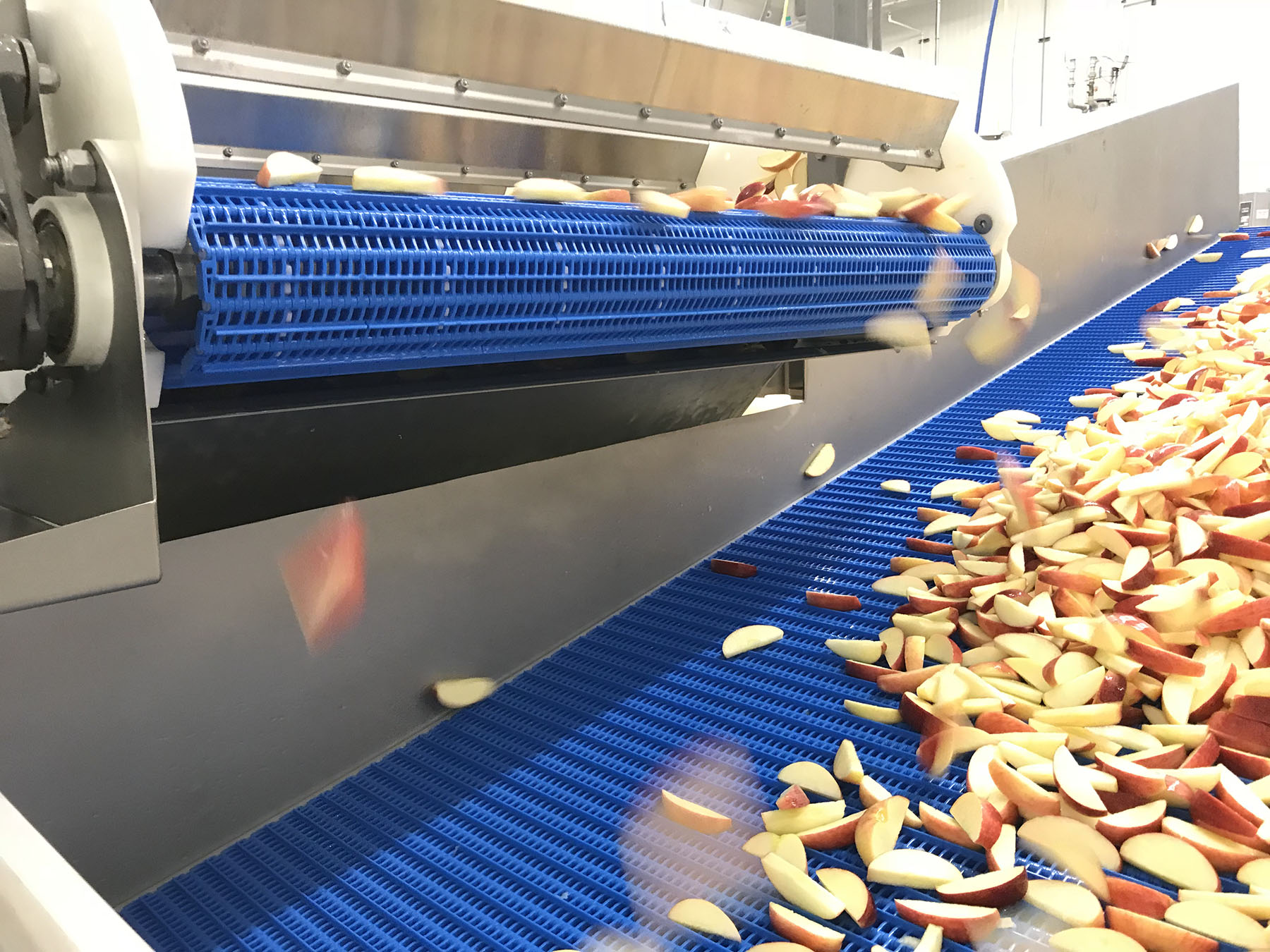 Apple processing conveyor with sliced apples being transported on a blue mesh belt, showcasing food production automation equipment by CHL Systems.
