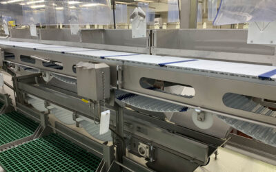 Belt conveyor system in a food processing facility, showcasing automated transport of products and materials, emphasizing efficiency and operational enhancement.