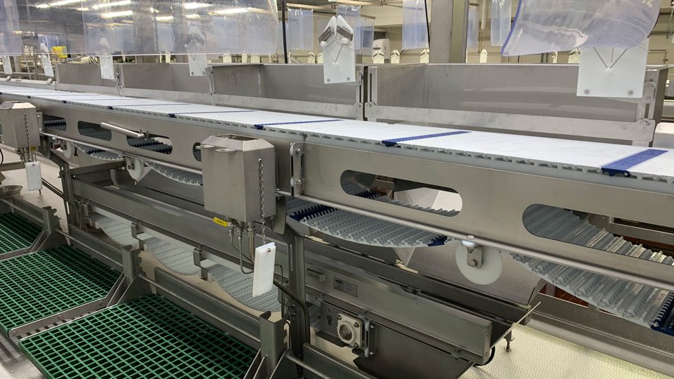 Automated conveyor system for food production, featuring stainless steel construction, modular design, and integrated safety shields, illustrating efficient material handling solutions.