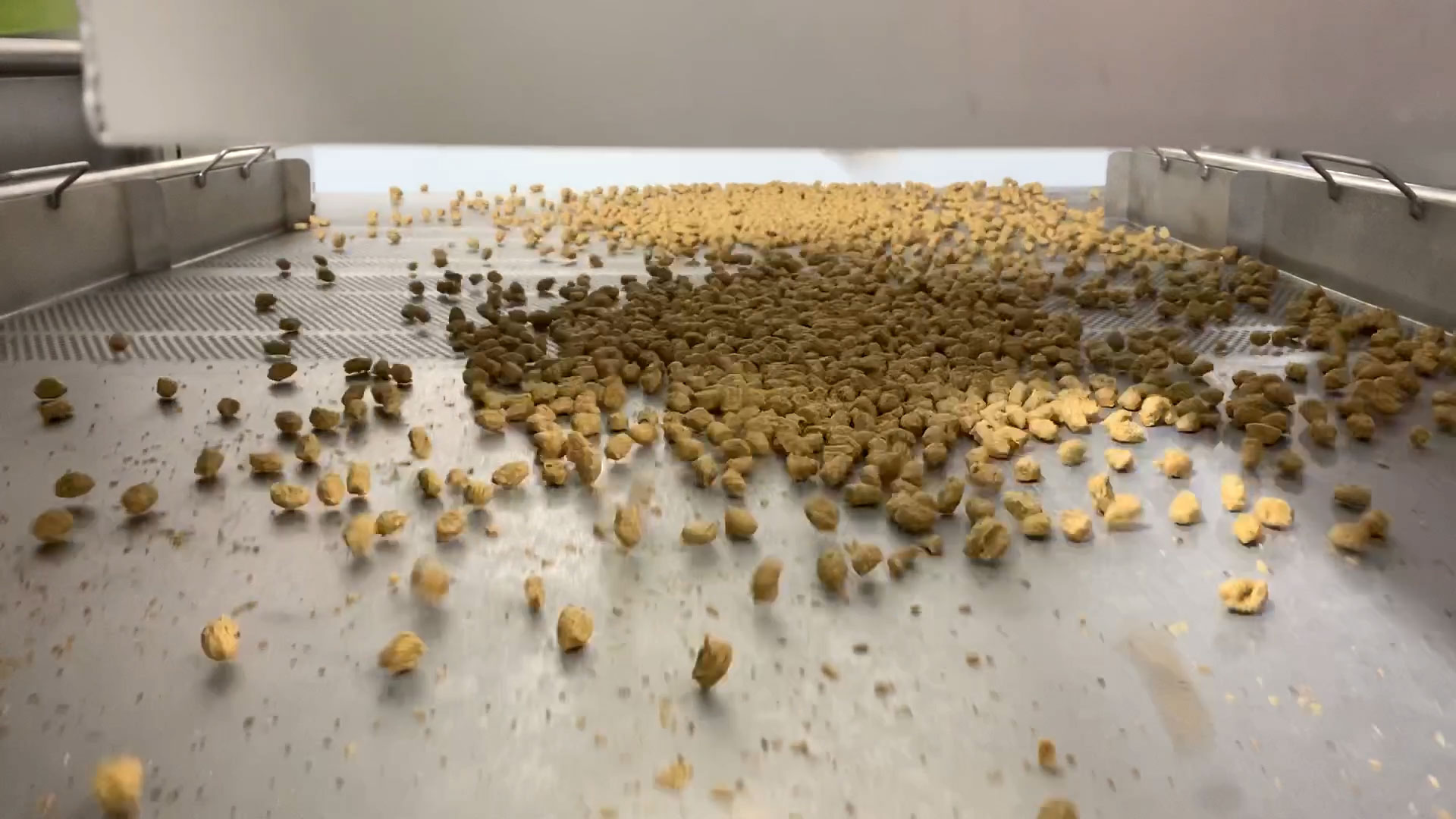 Vibrating conveyor transporting bulk materials, showcasing scattered product distribution on a metal surface, relevant to food processing applications.