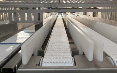Modular conveyor belt system designed for food processing, featuring multiple parallel tracks for efficient material handling and automation.