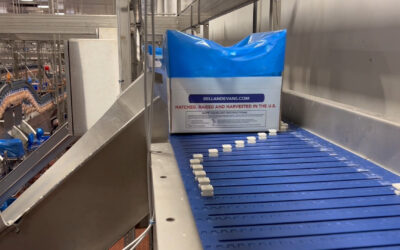 Empty blue box on conveyor belt in automated food processing facility, showcasing CHL Systems' box handling solutions.
