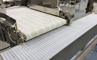 Conveyor belt system in food processing facility, designed for efficient movement of bulk materials like frozen meat and seafood.