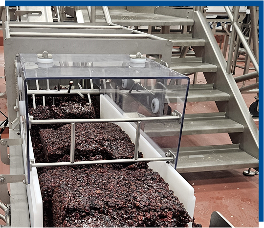Custom-designed frozen cranberry inclusion unit in a pet food manufacturing facility, showcasing de-clumping mechanisms and integrated safety features.