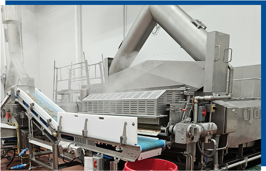 Automated steam cooker system with stainless steel construction, modular conveyor belts, and advanced steam distribution, designed for pet food production efficiency and sanitation.