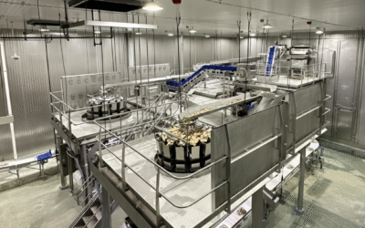 Elevated food processing platform with machinery and conveyor systems for efficient production.