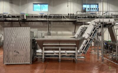 What Are Sanitary Conveyor Design Standards and Why Do They Matter?